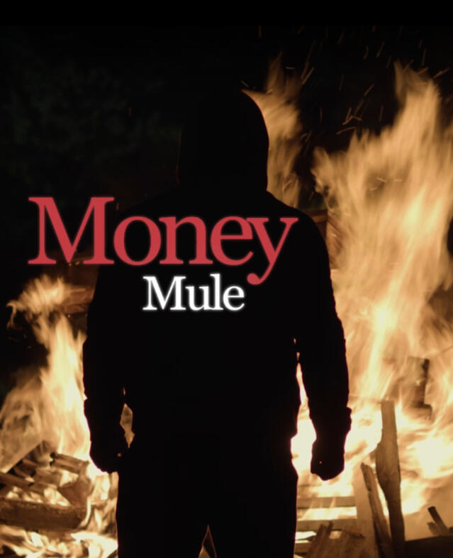 Money Mule